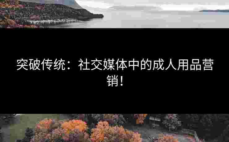 突破传统：社交媒体中的成人用品营销！